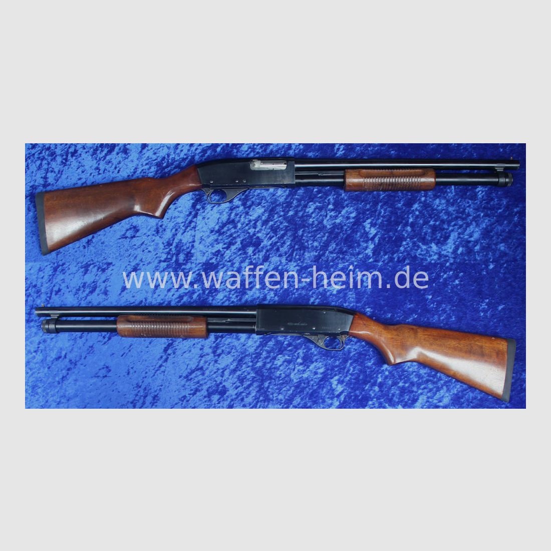 CBC 586 - P