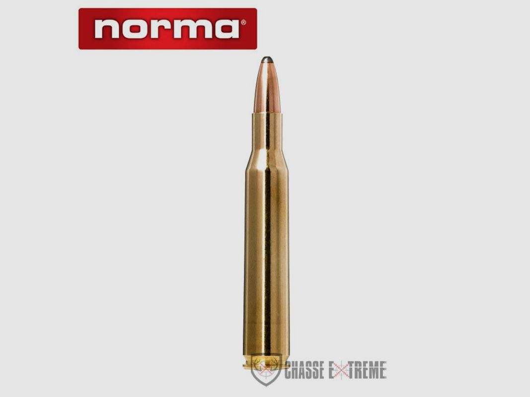 20 Nabojów NORMA Ctg kal 270 Win 130gr Whitetail