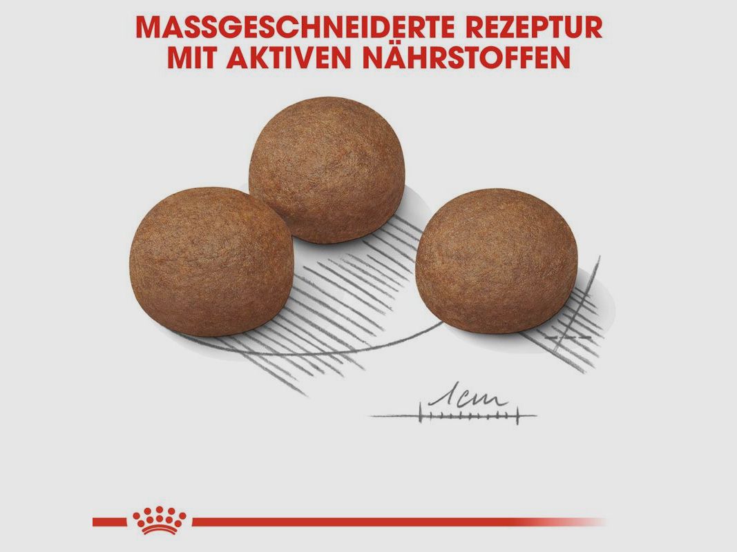 ROYAL CANIN Große Hunde Trockenfutter Digestive Care Maxi für empfindliche Verdauung 12 Kg