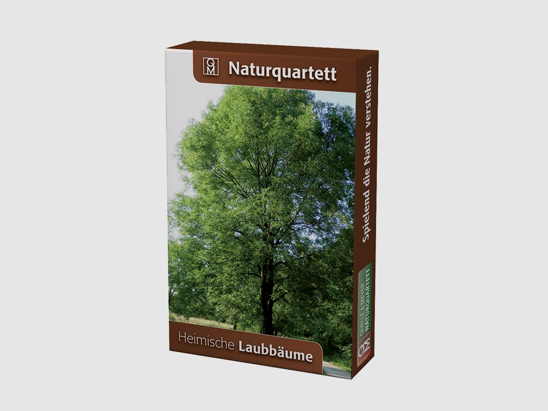 Nature Quartet "Native Deciduous Trees"