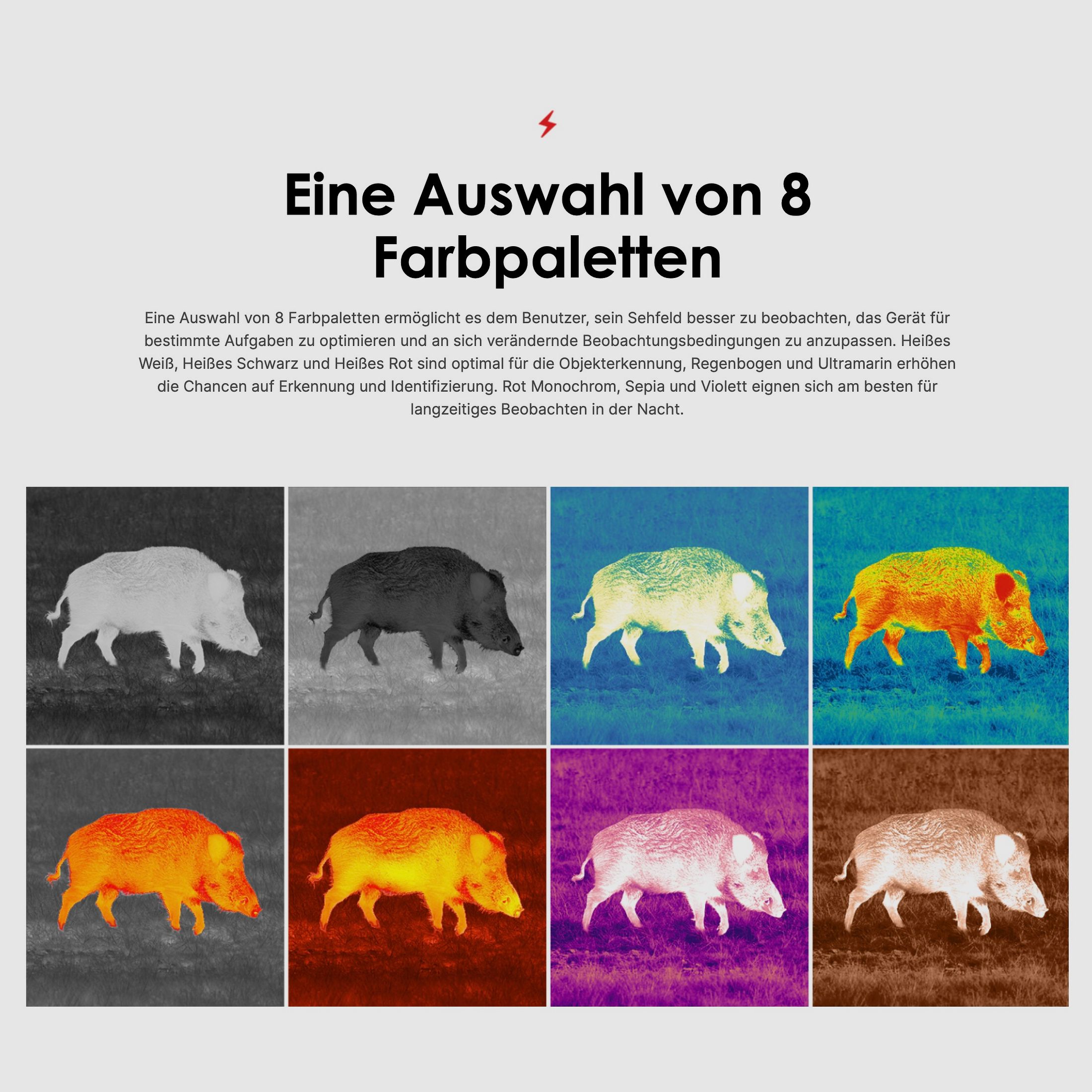 PULSAR 77509 Wärmebildgerät Axion XG35 Compact bis 1750m Wifi Foto Video