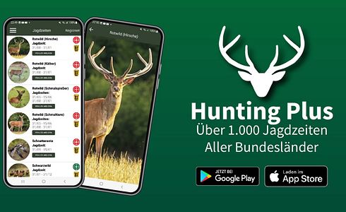 Alle Jagdzeiten auf einen Blick - mit Hunting Plus