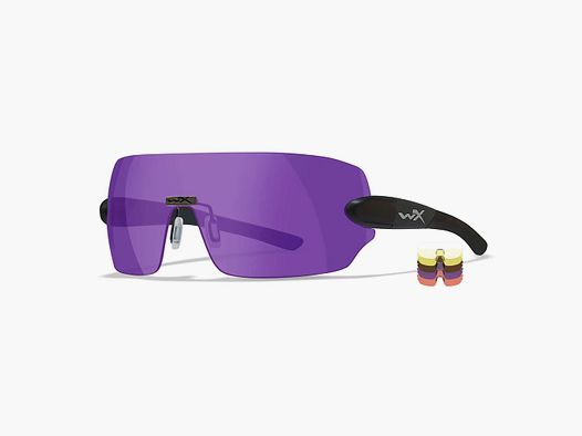 Wiley X Wiley X Schutzbrille Detection