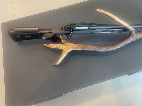 Sauer 202 carbon stock caliber 308