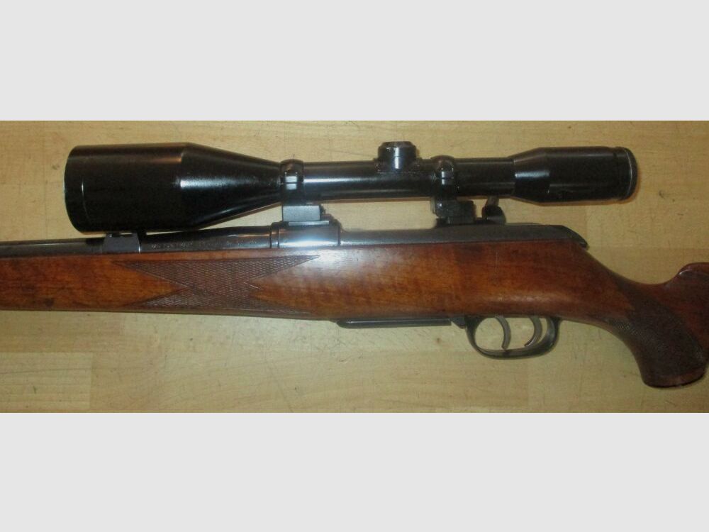 Krico	 600