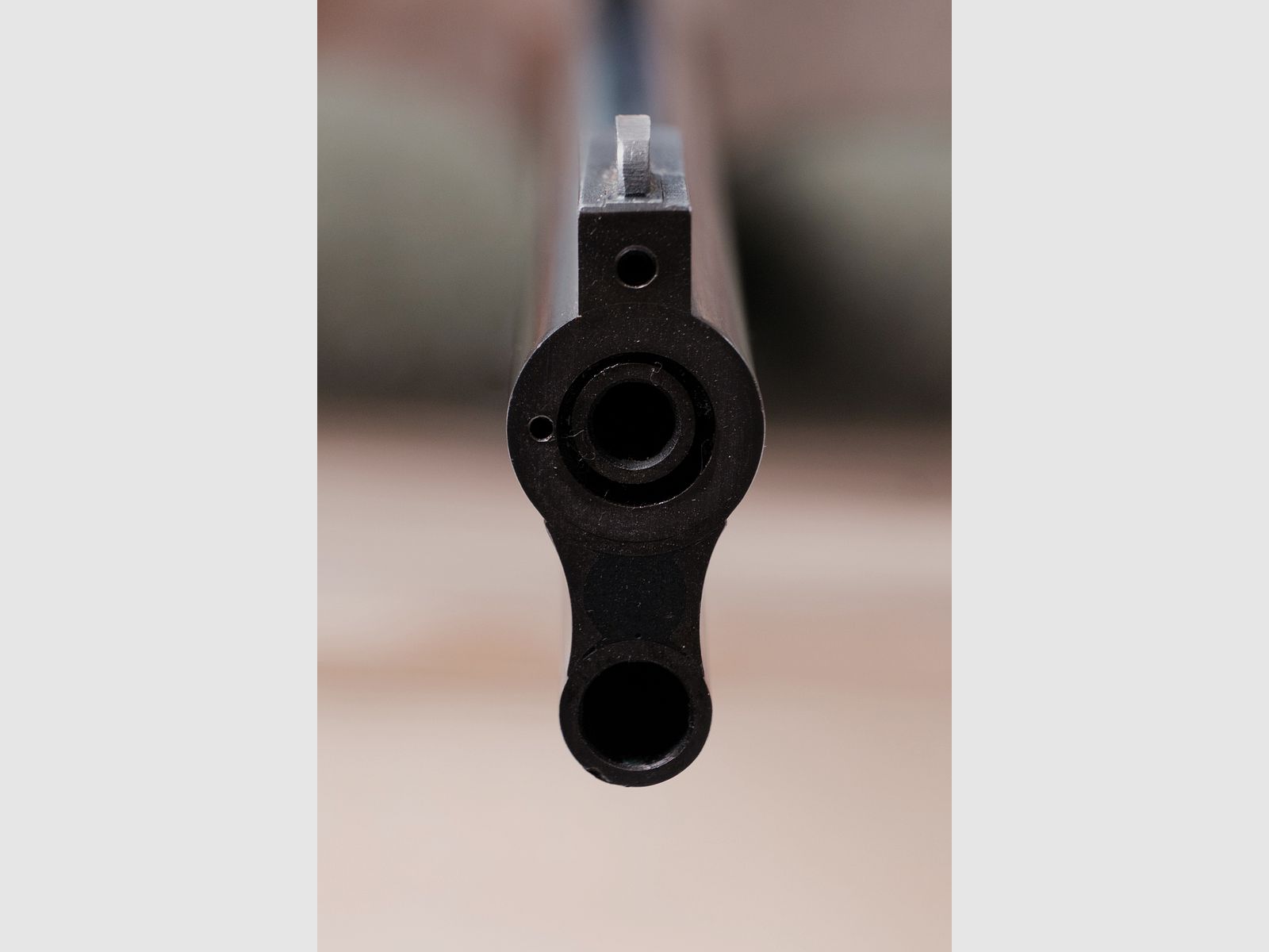 Blaser 75 Bergstutzen .30-06 Spring. , 5,6 x 50 Mag.