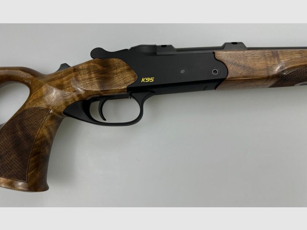 BLASER K95 Success