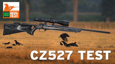 CZ 527 Thumbhole im Kaliber .17 Hornet