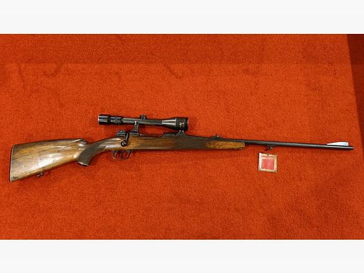 Forêt Favorit sans 7x64