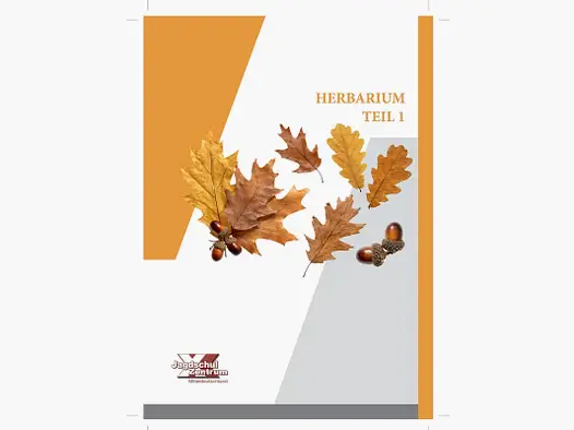Herbier Partie 1