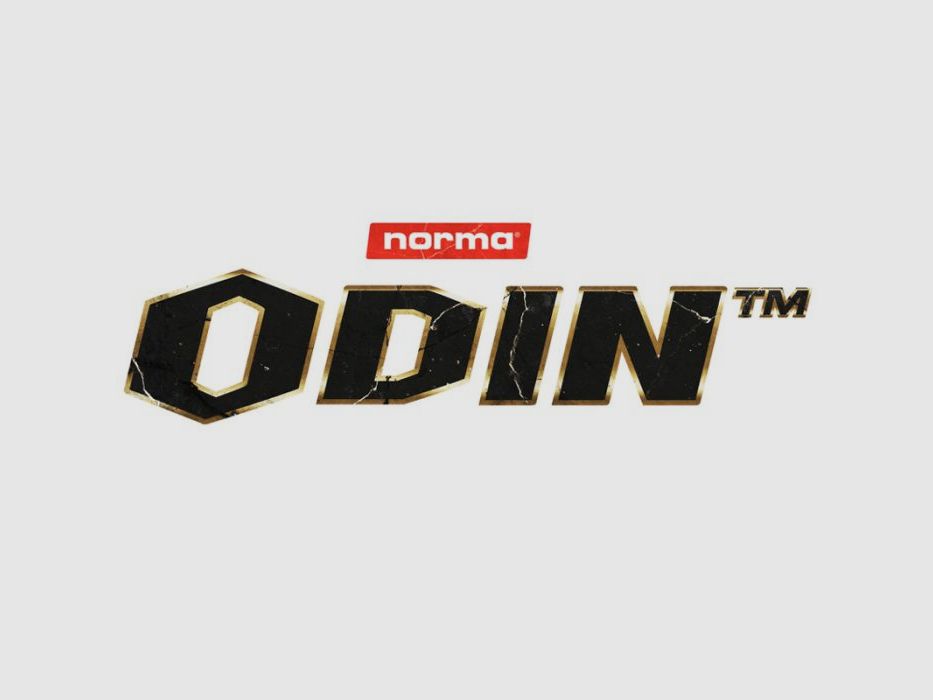 Norma 30-06 Odin 10,5g/162grs, Bild 5 von 6