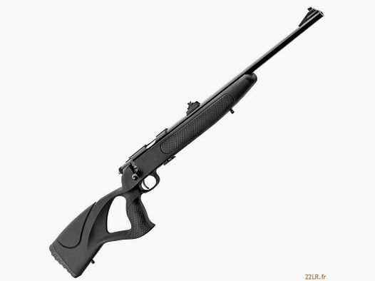 Rifle 22 LR Bo Manufacture Arms Equality Maker