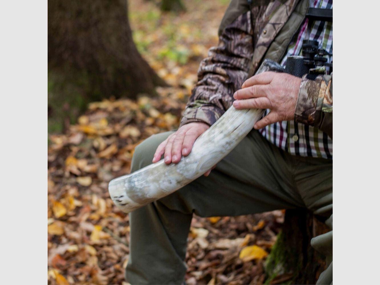 Weisskirchen Deer call ox horn, image 6 of 6