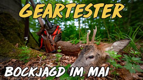 Geartester - Bockjagd im Mai