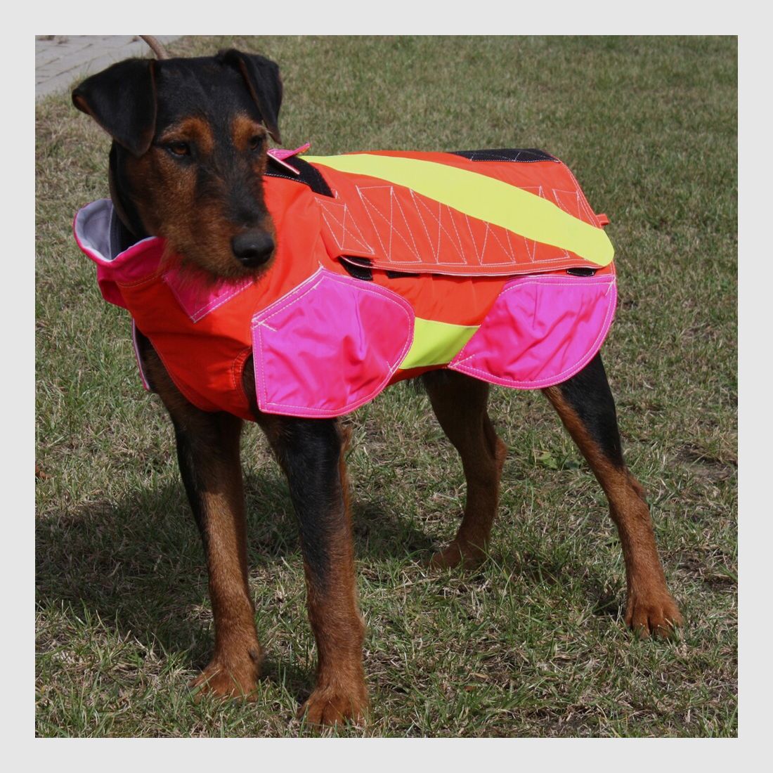 Out Dog Dog protective vest standard (Chest circumference 75 cm – male), image 2 of 7