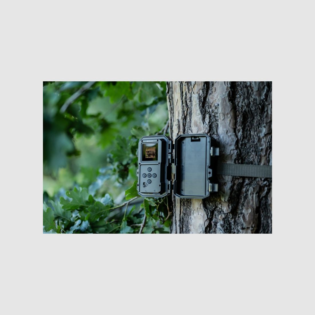 BRESSER Camera 60° 5-20 MP 20 m for observing wildlife, image 11 of 23