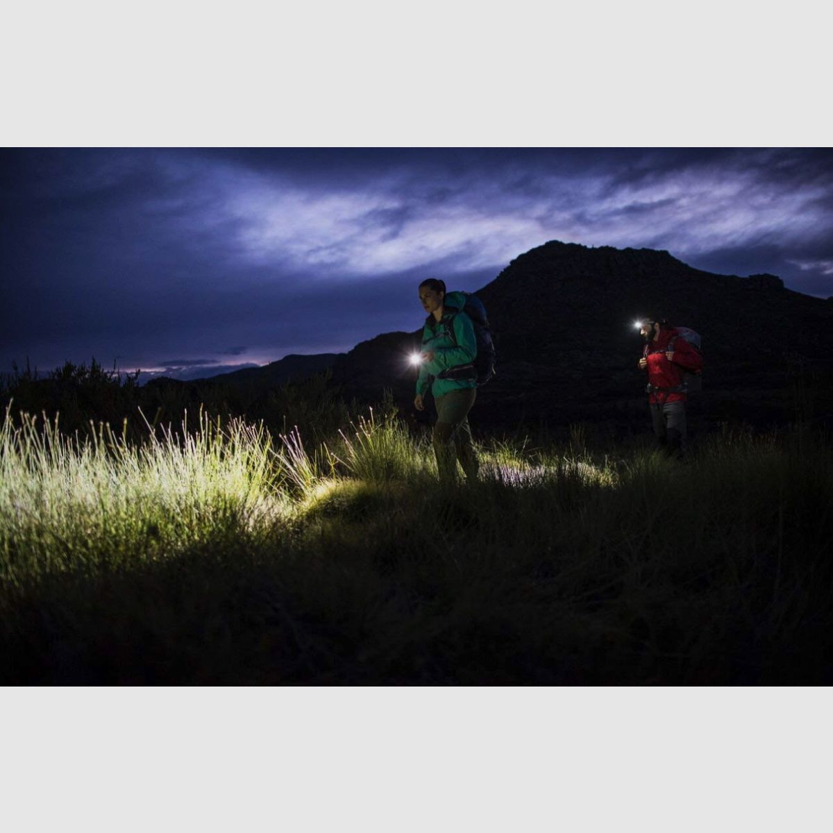 LEDLENSER Taschenlampe MT14