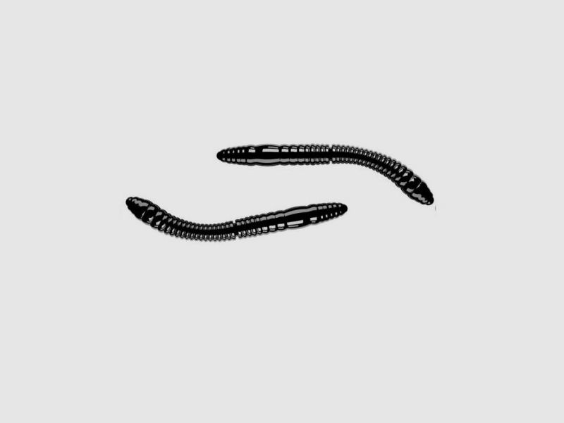 Fatty D'worm 65 mm, image 11 of 12