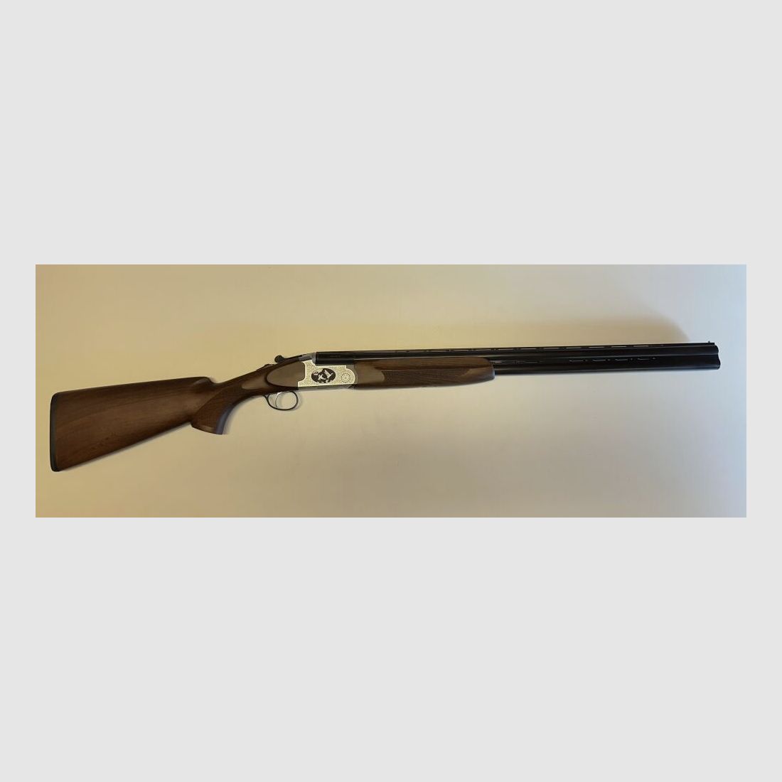 Forest Favorit Jagd