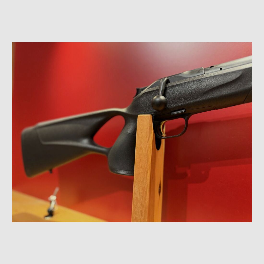 Blaser R8 Professional Success