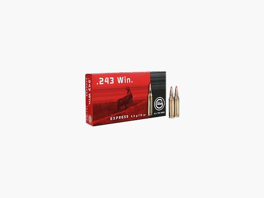 AMUNICJA GECO EXPRESS kal.243 4,9 g (20 szt)
