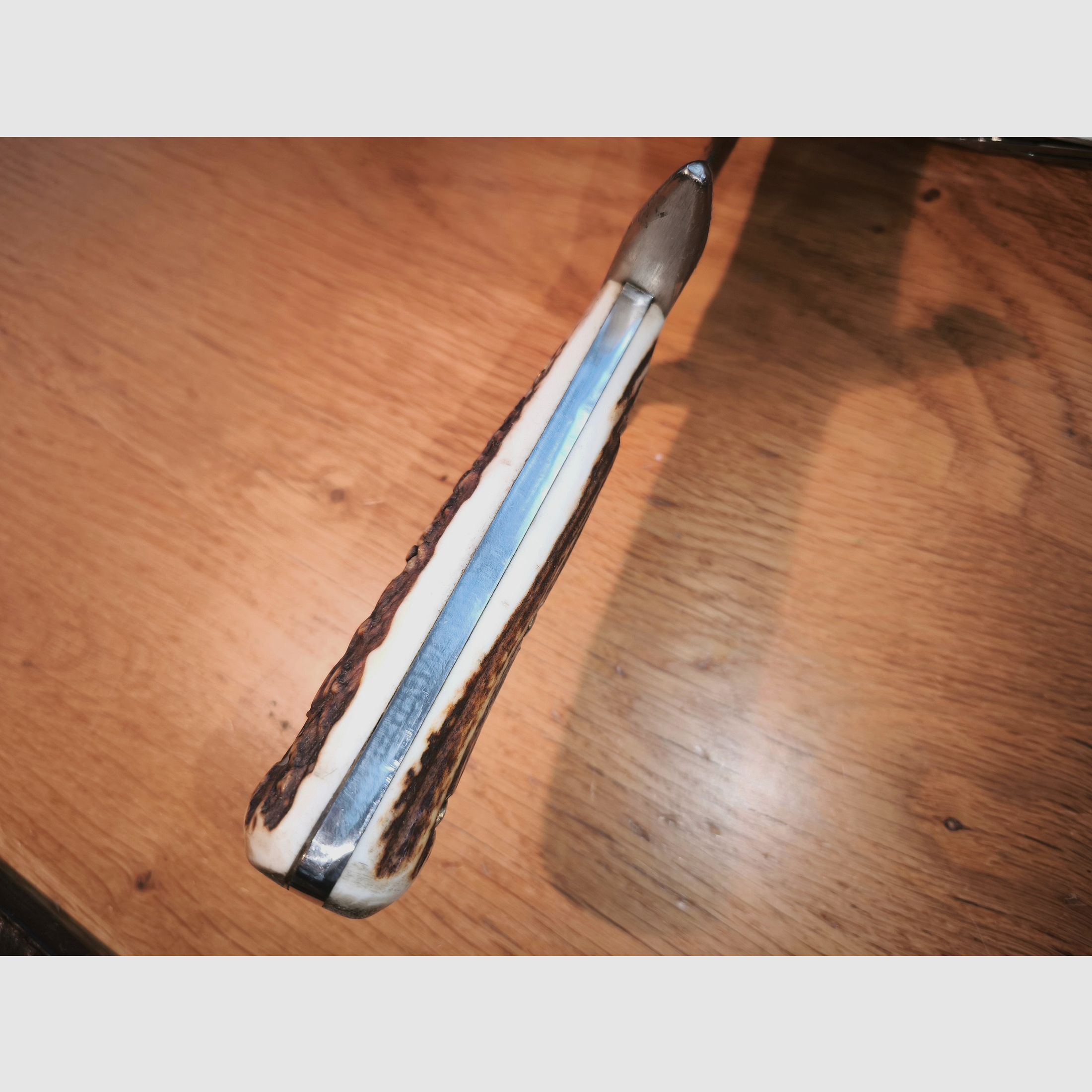 Couteau de chasse Lippertsches Waidblatt