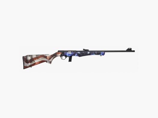 ROSSI 8122 USA 22LR