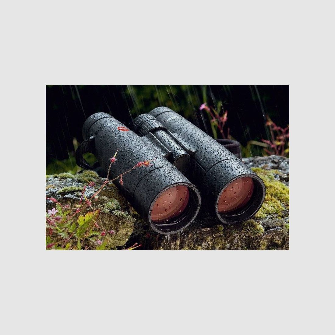 Leica Ultravid 8 X 42 HD - PLUS Fernglas, Bild 4 von 4