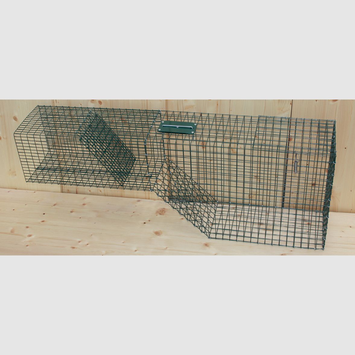 Draht Jungfuchsfalle