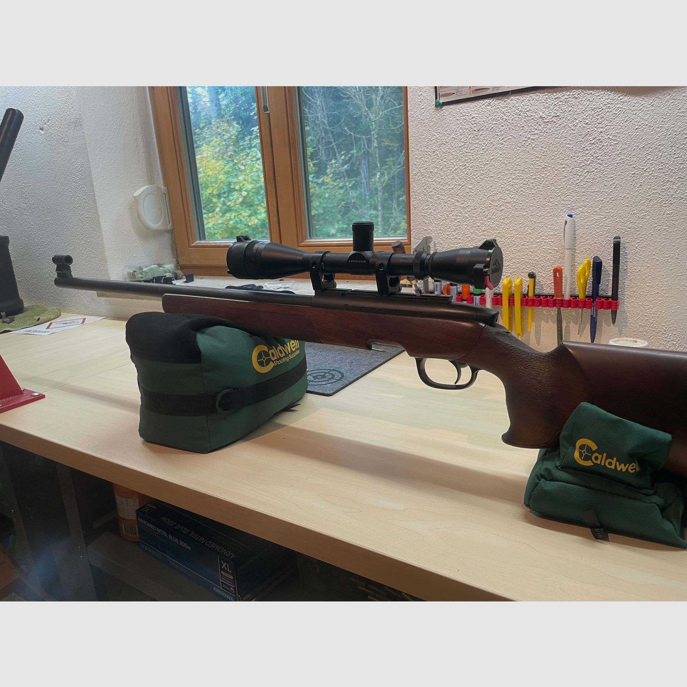 Steyr SSG 69 Match