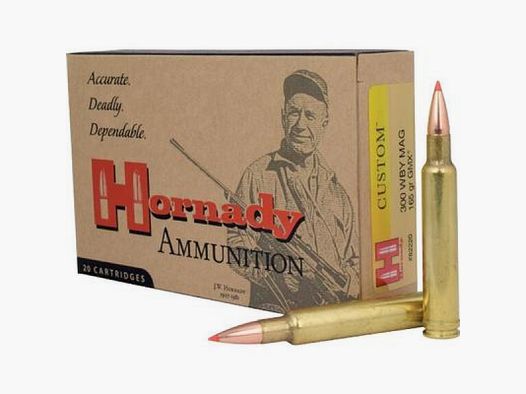 .300 WBY Mag Custom, GMX 10,69g / 165gr