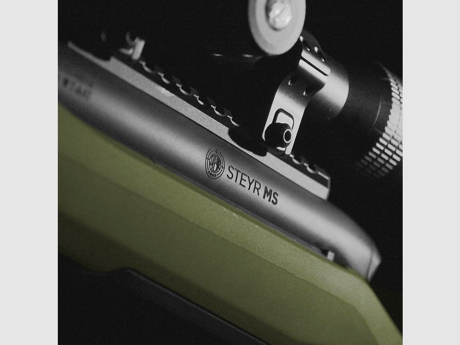 STEYR MS Sauvage vert Répétiteur