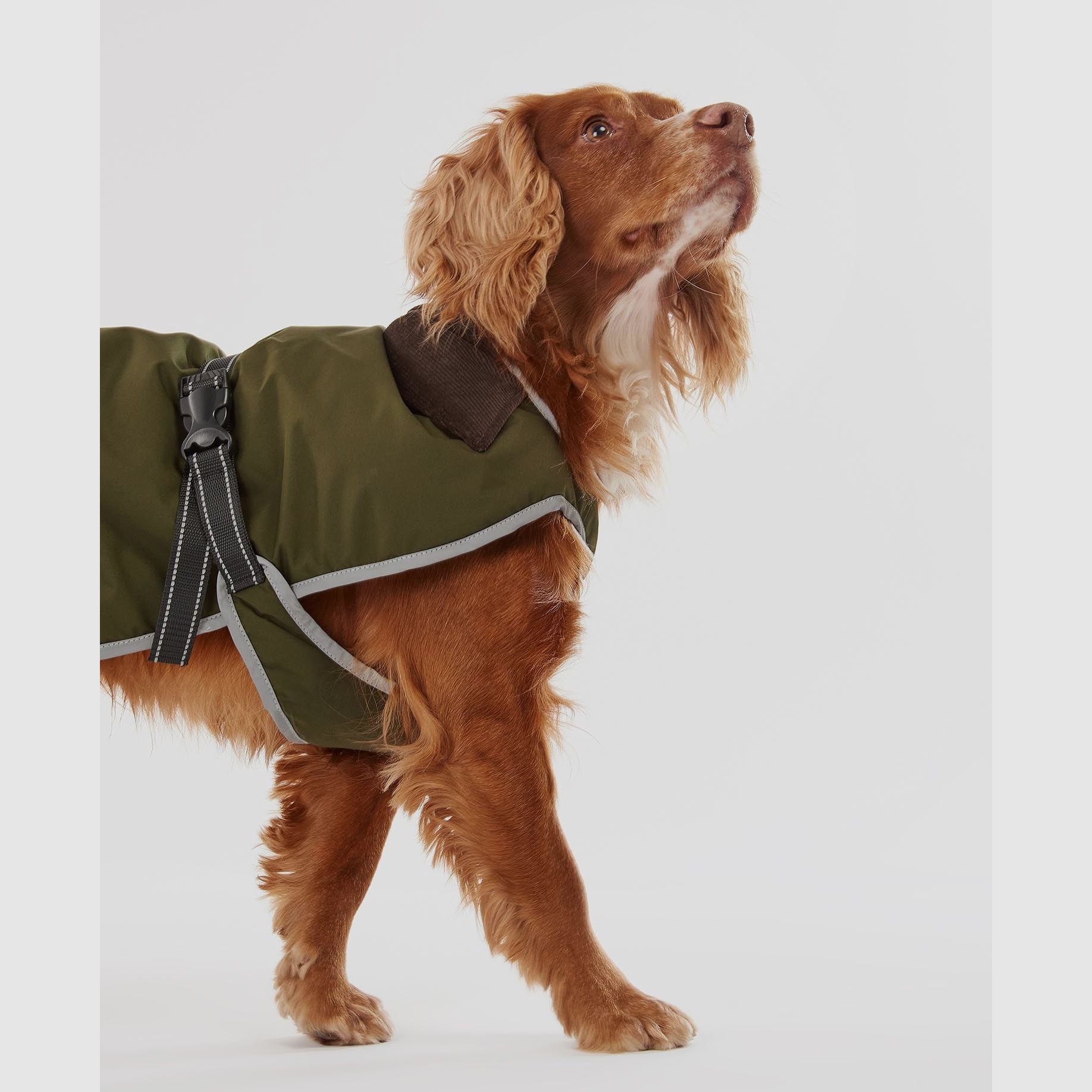 Barbour wasserdichter Hundemantel Monmouth