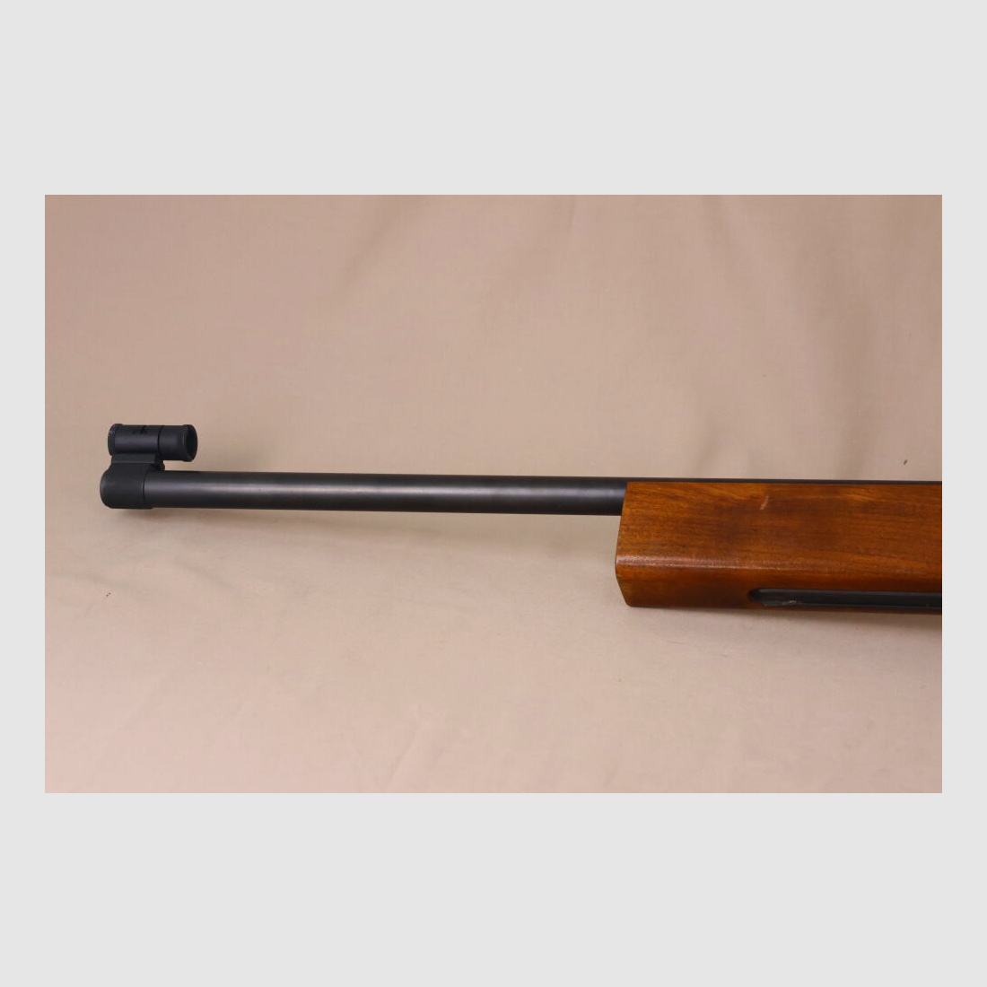 Carl Walther Match