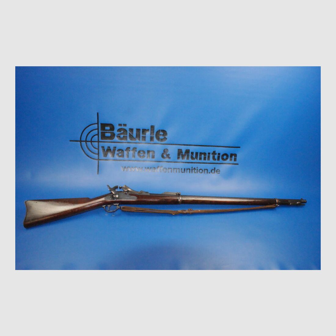 Springfield 1873 .45-70Gov