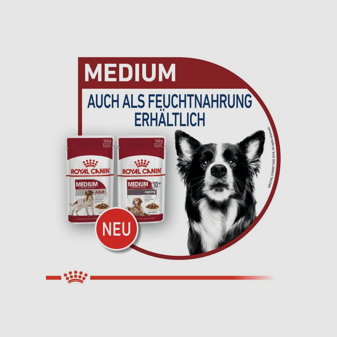 ROYAL CANIN Mittelgroße Hunde Nassfutter Medium Adult 10x140 g