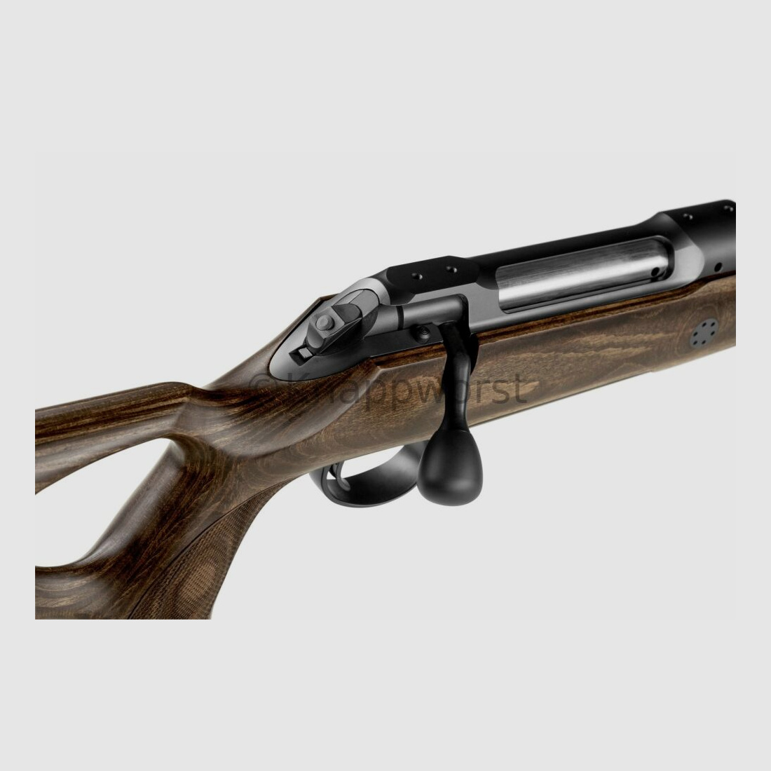 Sauer & Sohn Sauer 101 GTI Silence