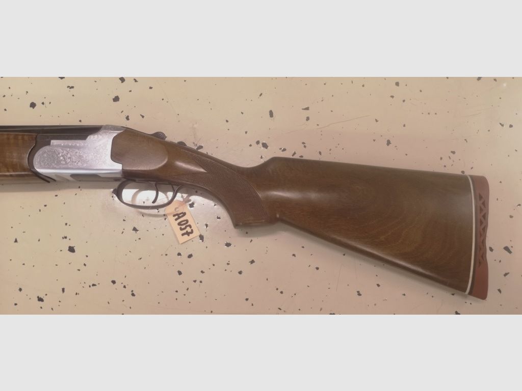 BDF Ibargun  Lanber 