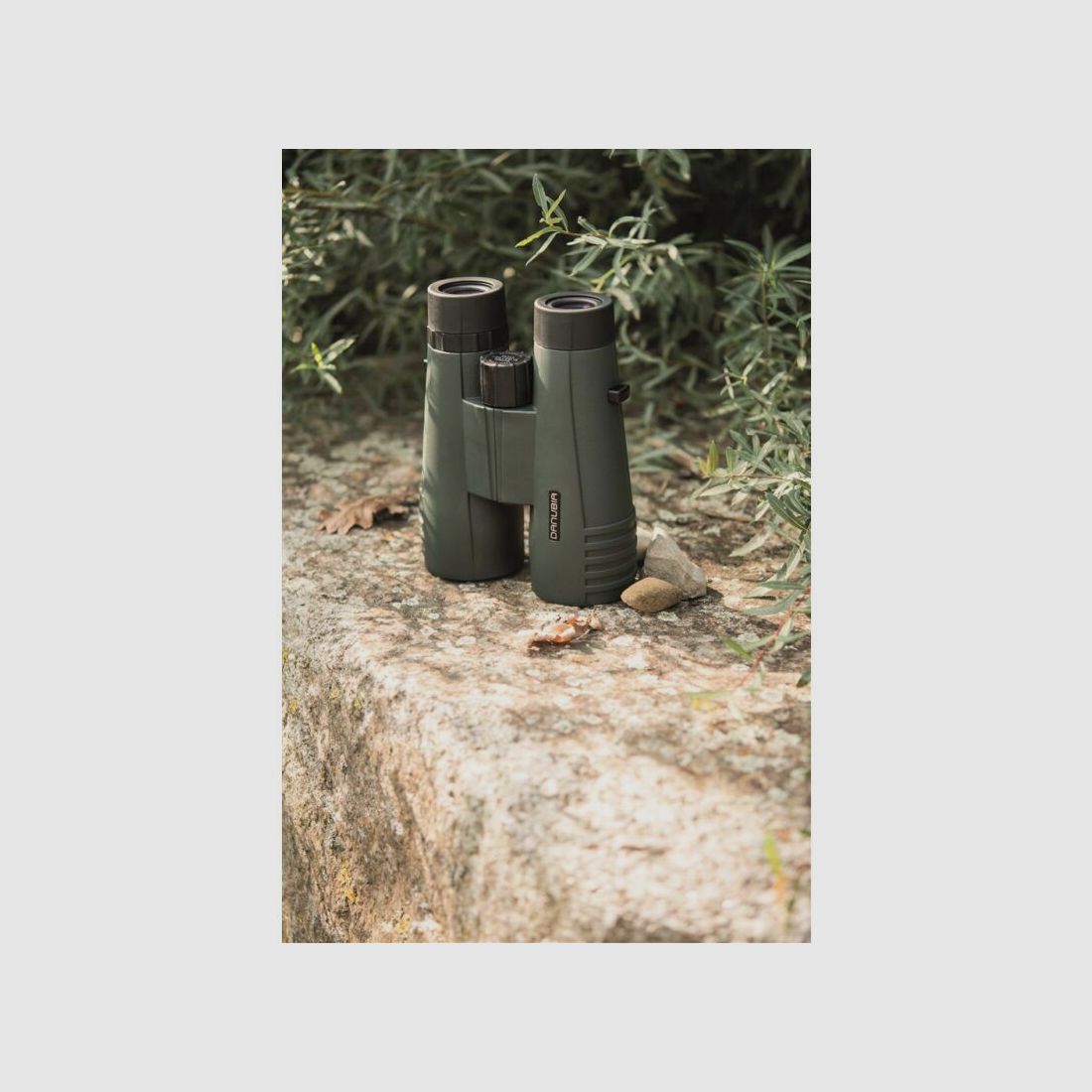 Dörr Fernglas Bussard I 8x56 grün