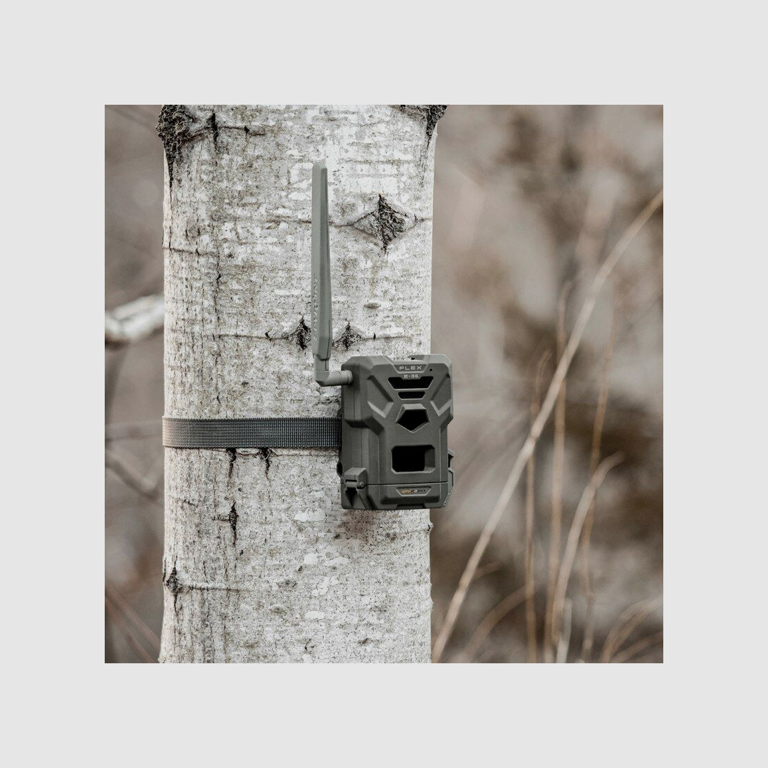 SPYPOINT Wildkamera Flex E-36 Twin-Pack