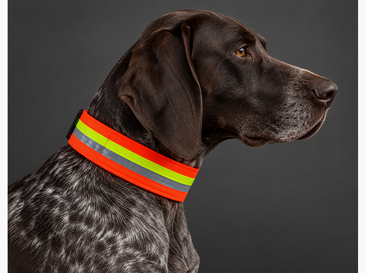 FRITZMANN Hundesignalband, Orange 50cm Halsumfang