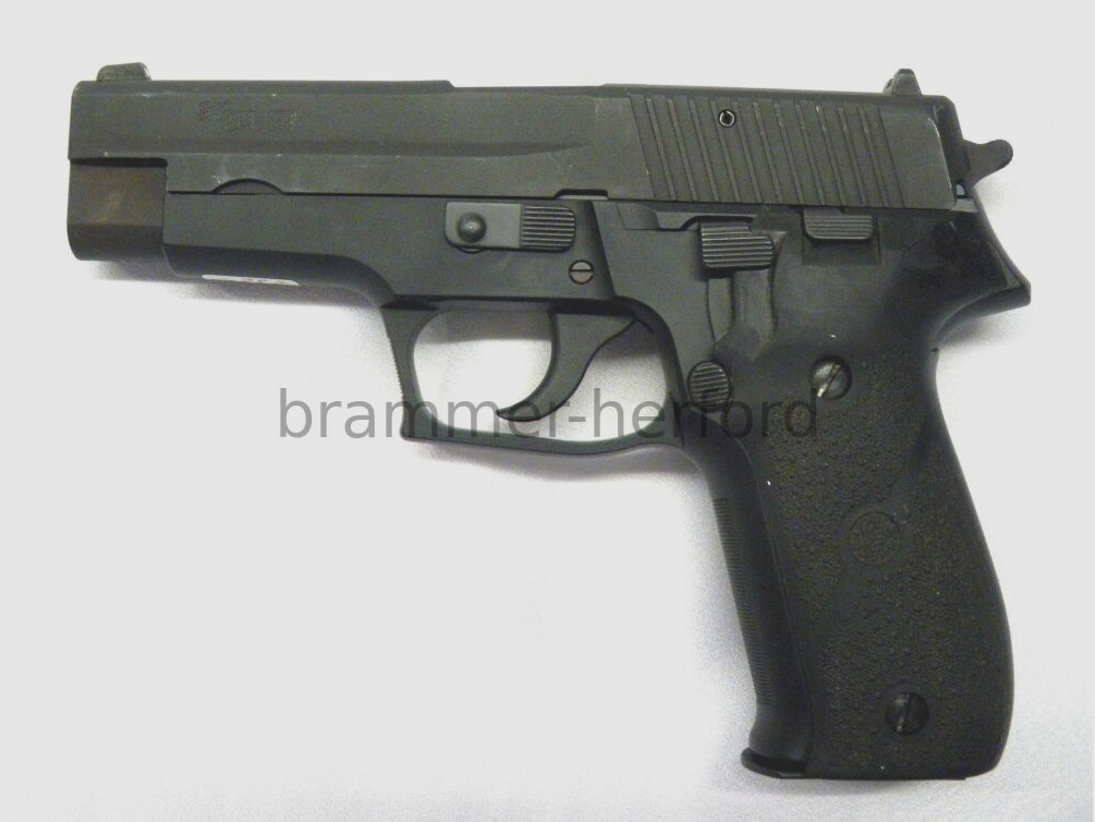 Sig Sauer	 P226