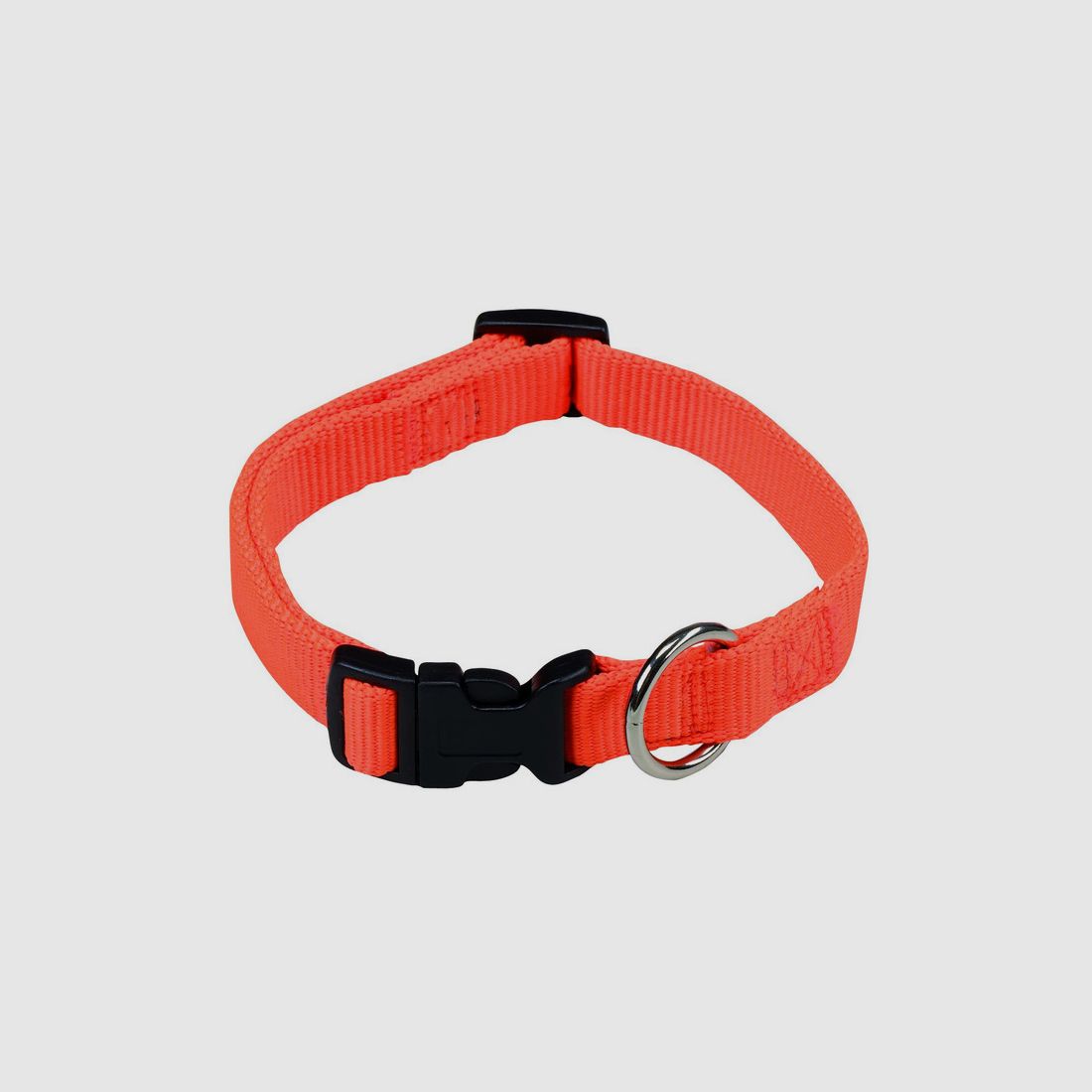 Collier pour chien orange signal