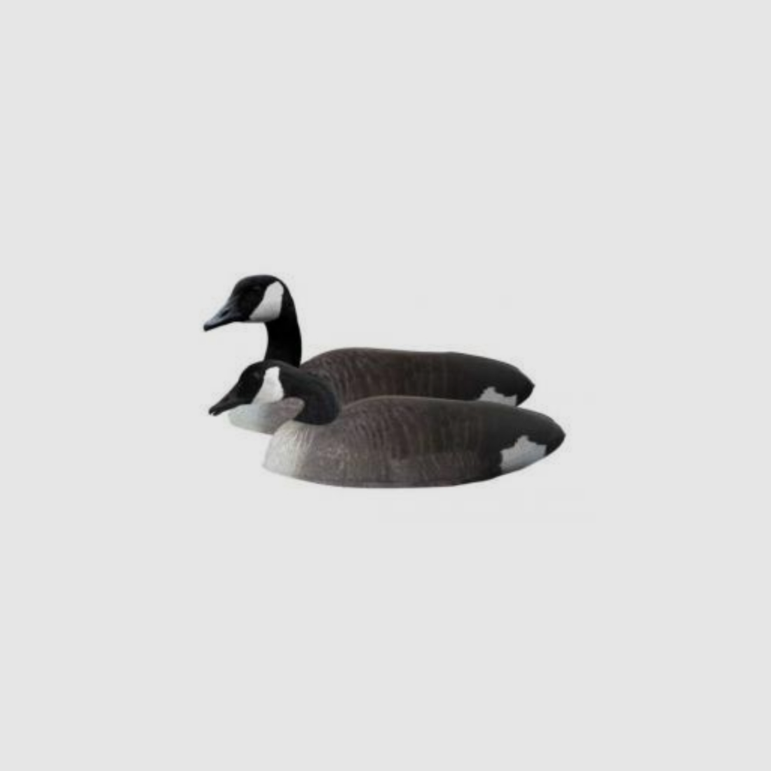 Featherlites Fusion Series Canada Goose (4 Stk.) Gans, Bild 3 von 3