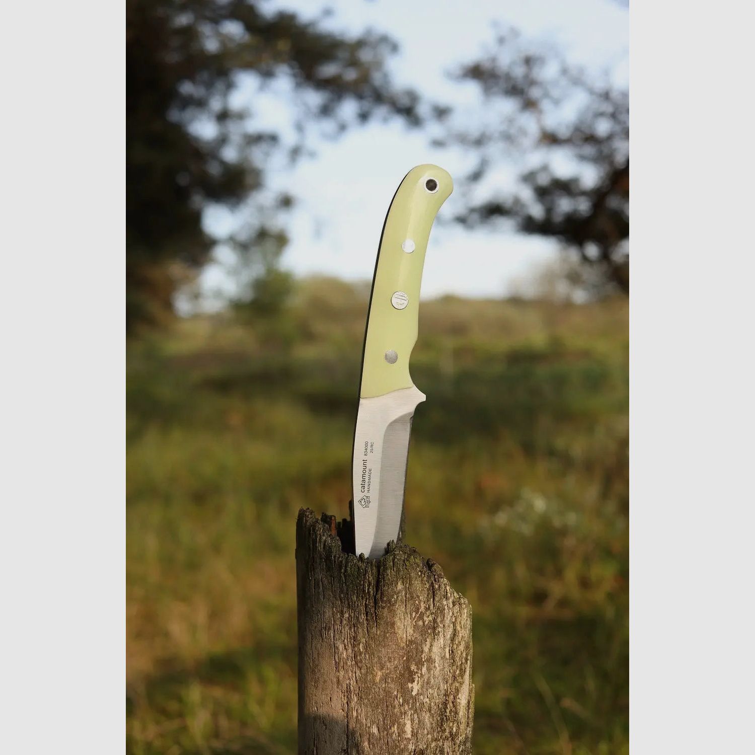 PUMA IP catamount nachleuchtend