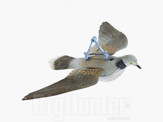 Turtledove Stamp with Open Wings
