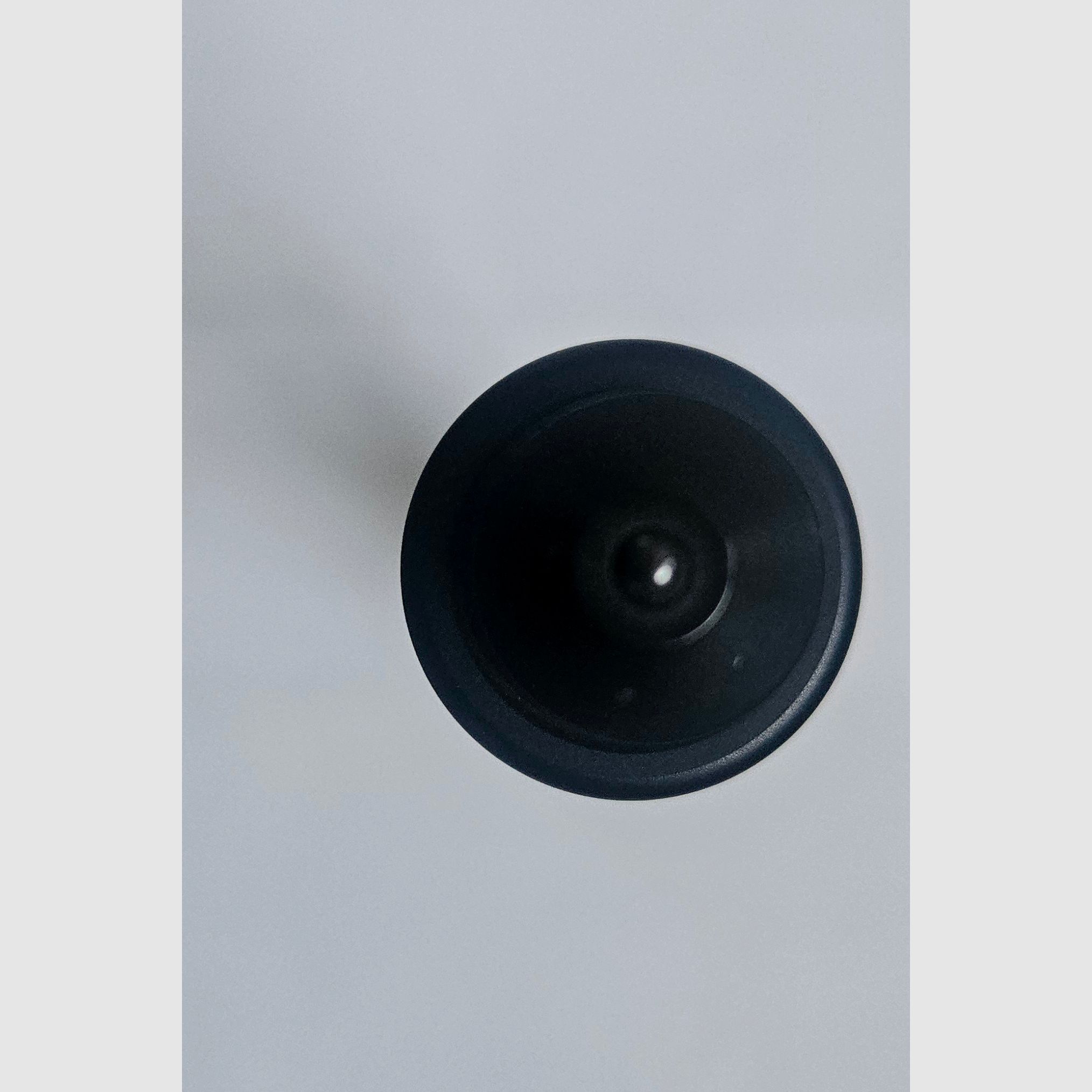 NEX N16 Walker Air (40.1cm) - Extendable walking stick lightweight