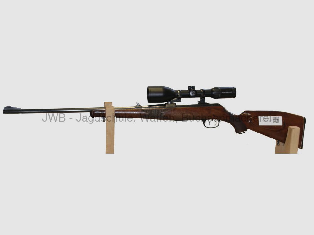 Krico avec Schmidt & Bender arme idéale pour dames 6,5x57