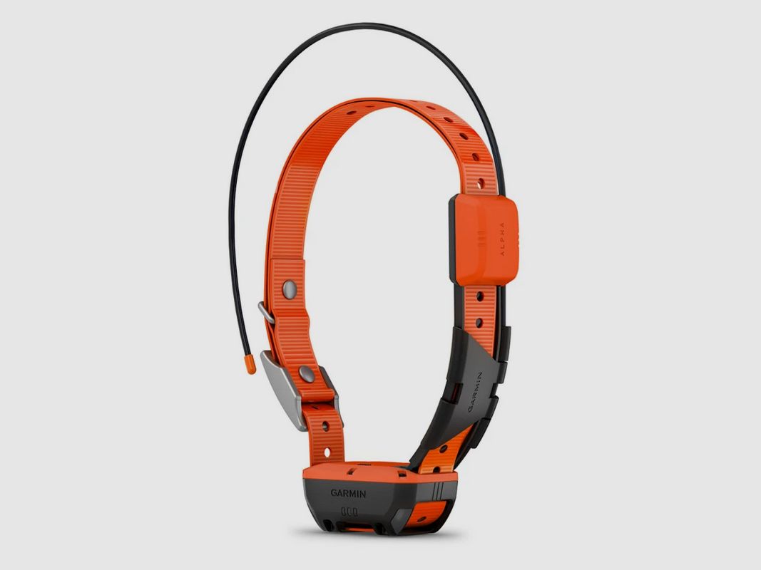 Collier GPS supplémentaire Garmin Alpha® T 20 K, image 2 sur 6