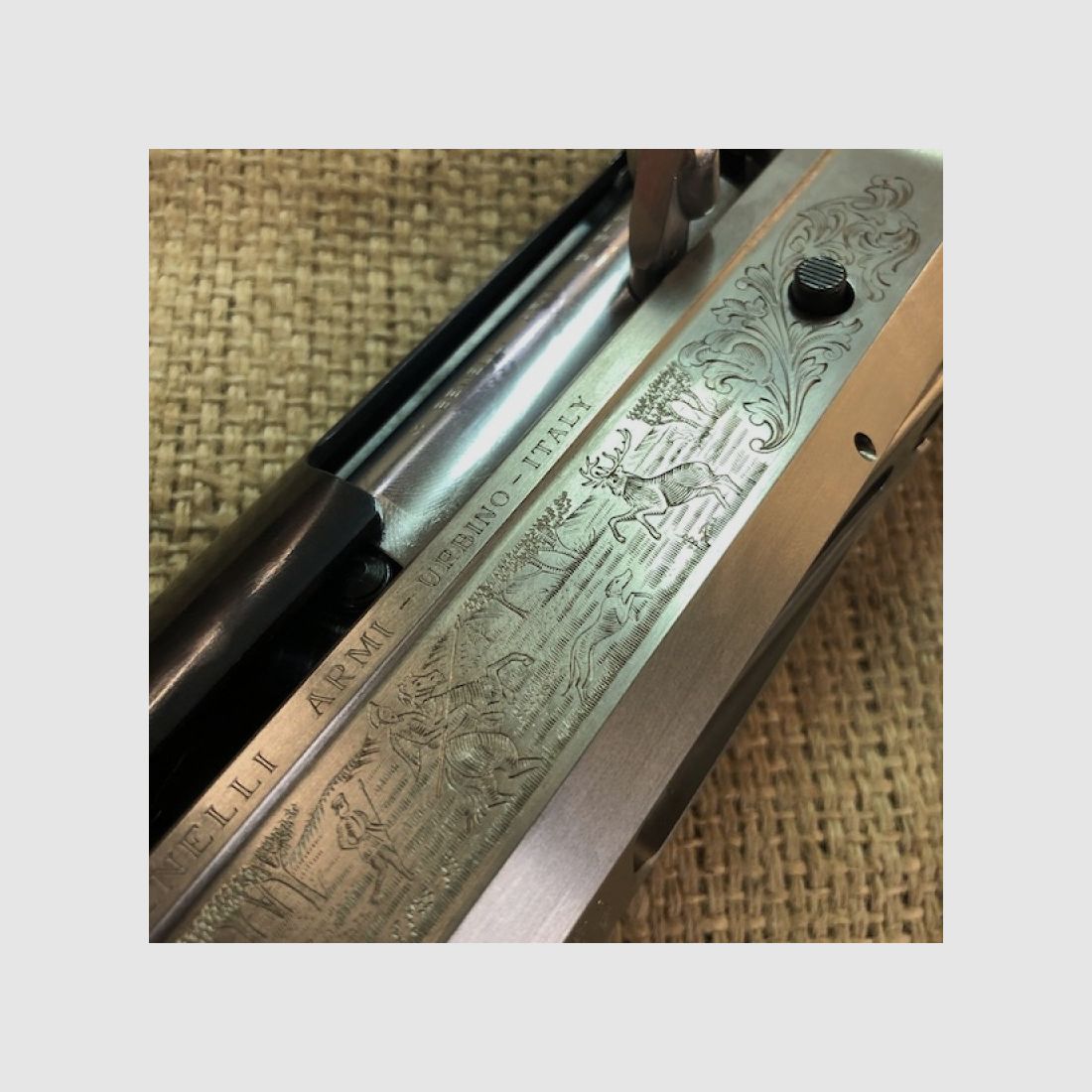 Benelli Rinascimento, immagine 3 di 9